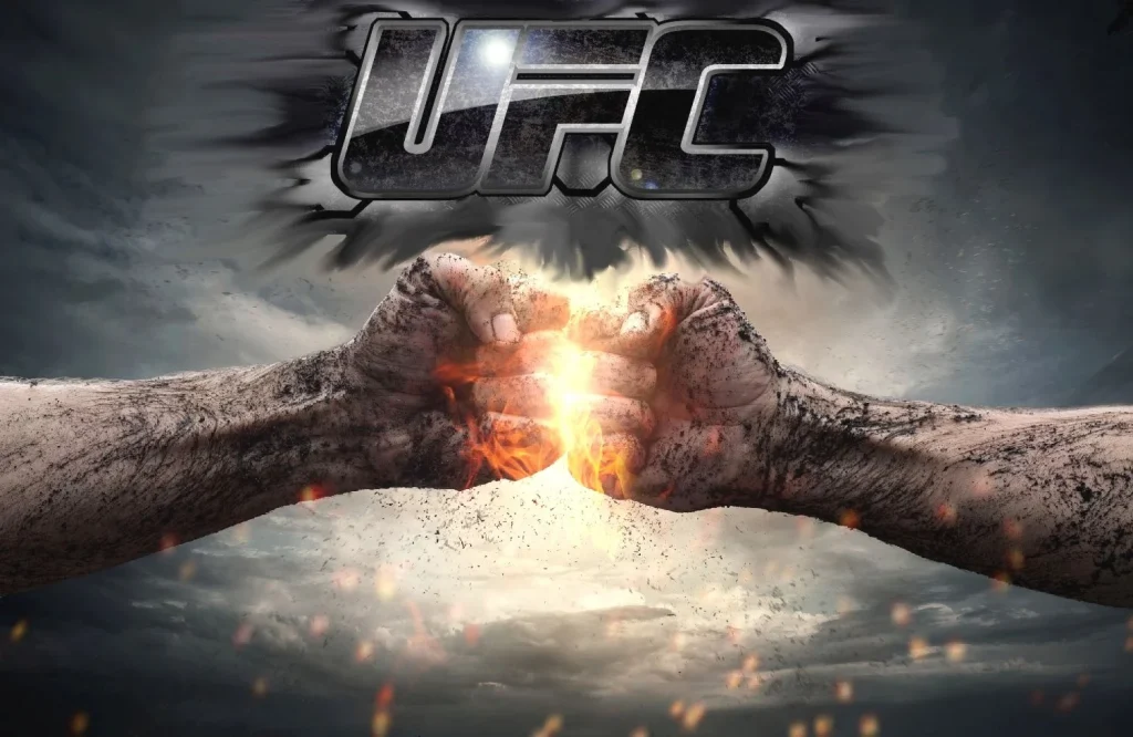 Роль судей в боях UFC